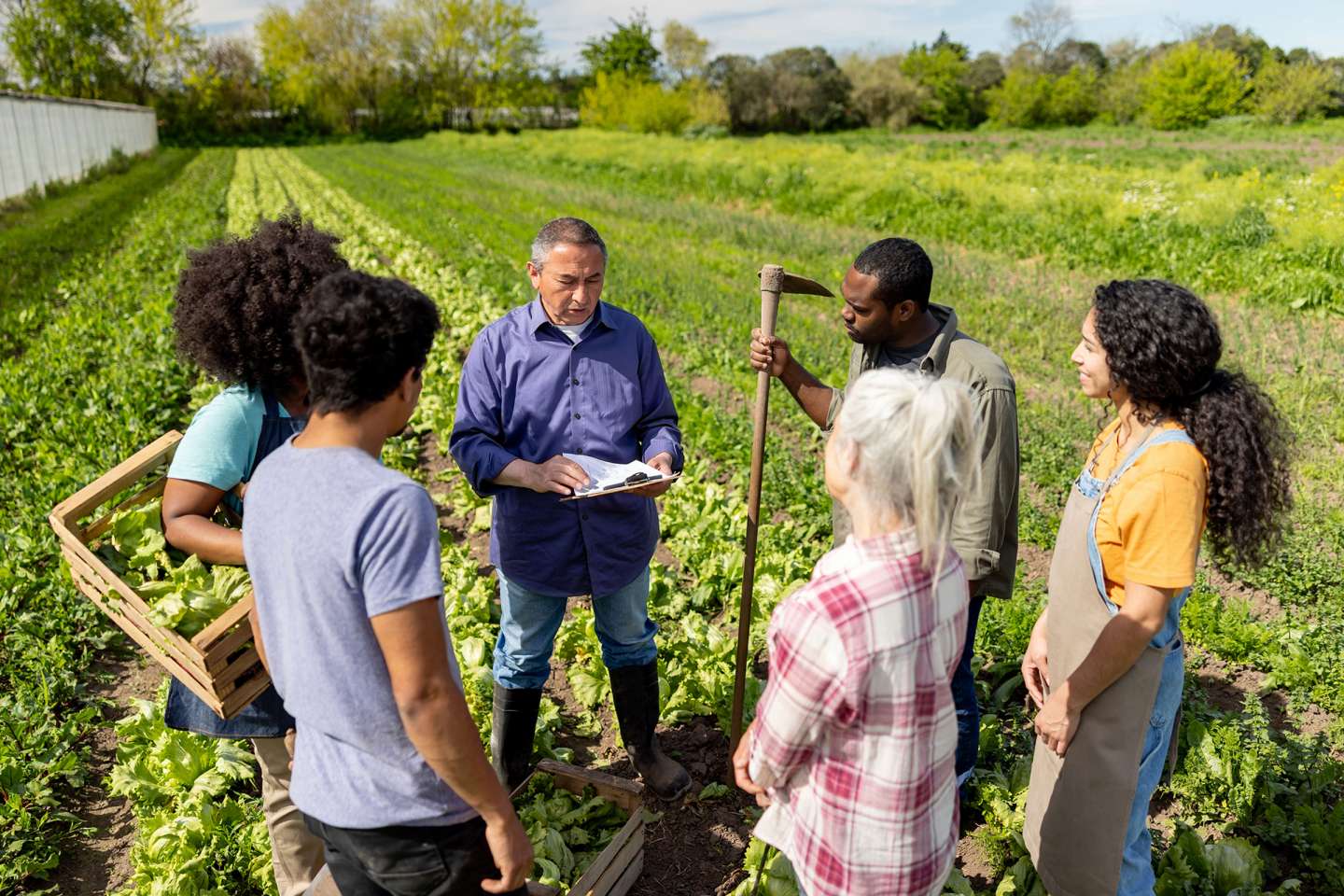 Les associations agricoles employeuses en 2024