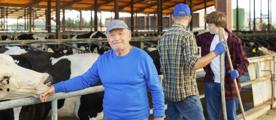 Décès d’un non-salarié agricole : un capital décès pour ses ayants droit