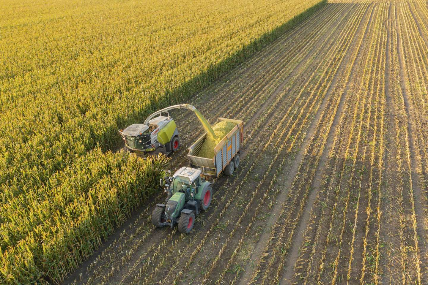 La production agricole en hausse de 4,7 % en 2025