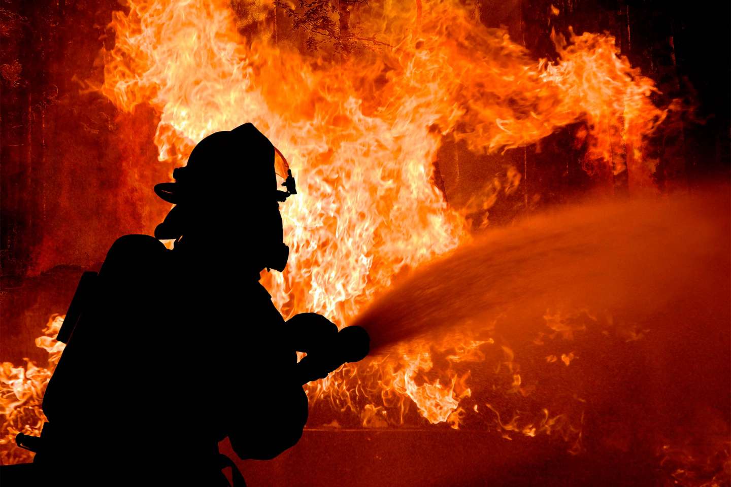 Incendies : des aides pour les employeurs et les travailleurs indépendants